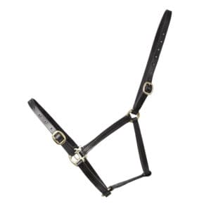 Hy Equestrian Leather Foal Head Collar