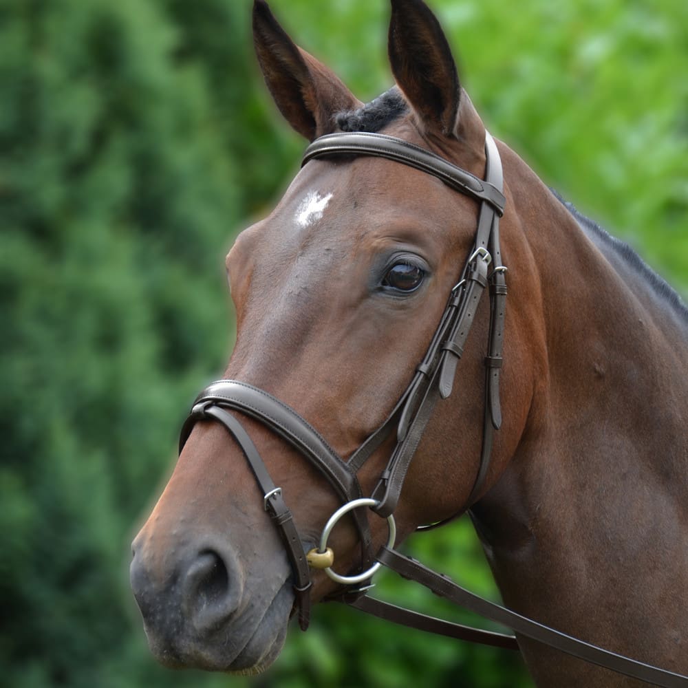 Hy Equestrian Padded Flash Bridle with Rubber Grip Reins - Image 2