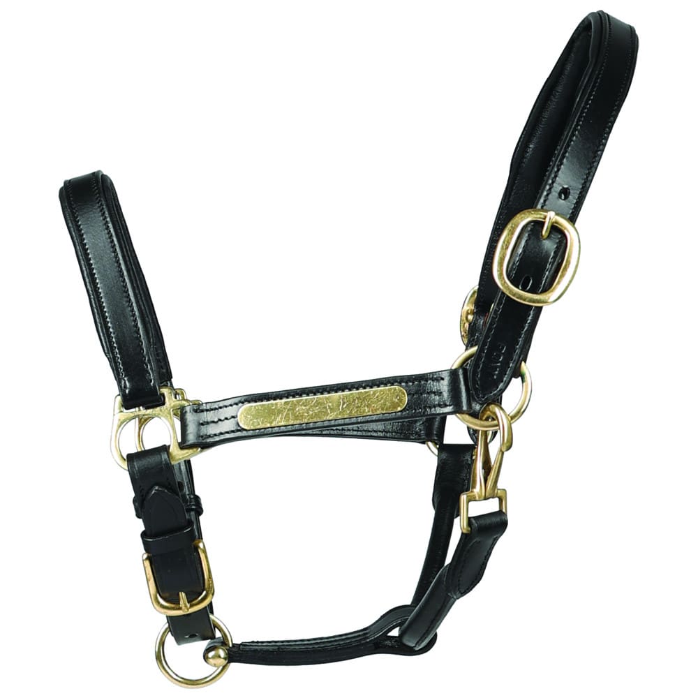 Hy Equestrian Leather Head Collar - Image 2