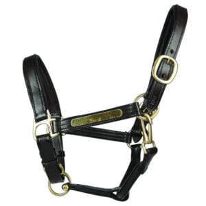 Hy Equestrian Leather Head Collar