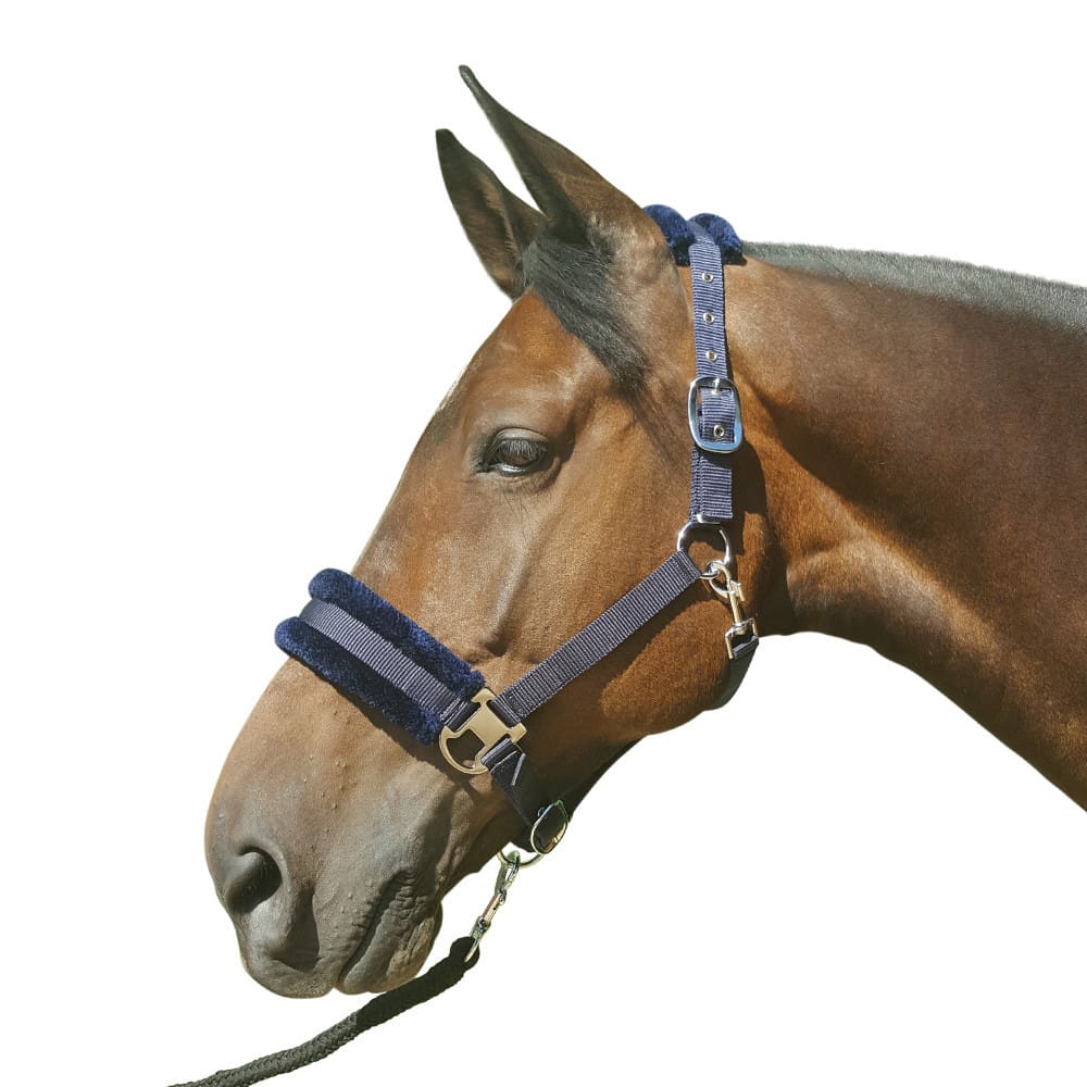 Hy Equestrian Faux Fur Padded Head Collar & Lead Rope - Image 3