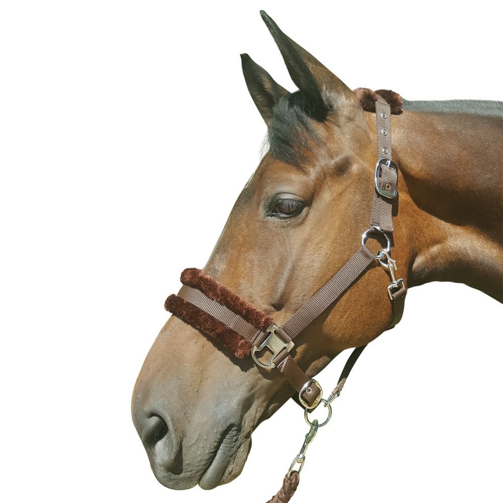 Hy Equestrian Faux Fur Padded Head Collar & Lead Rope - Image 4