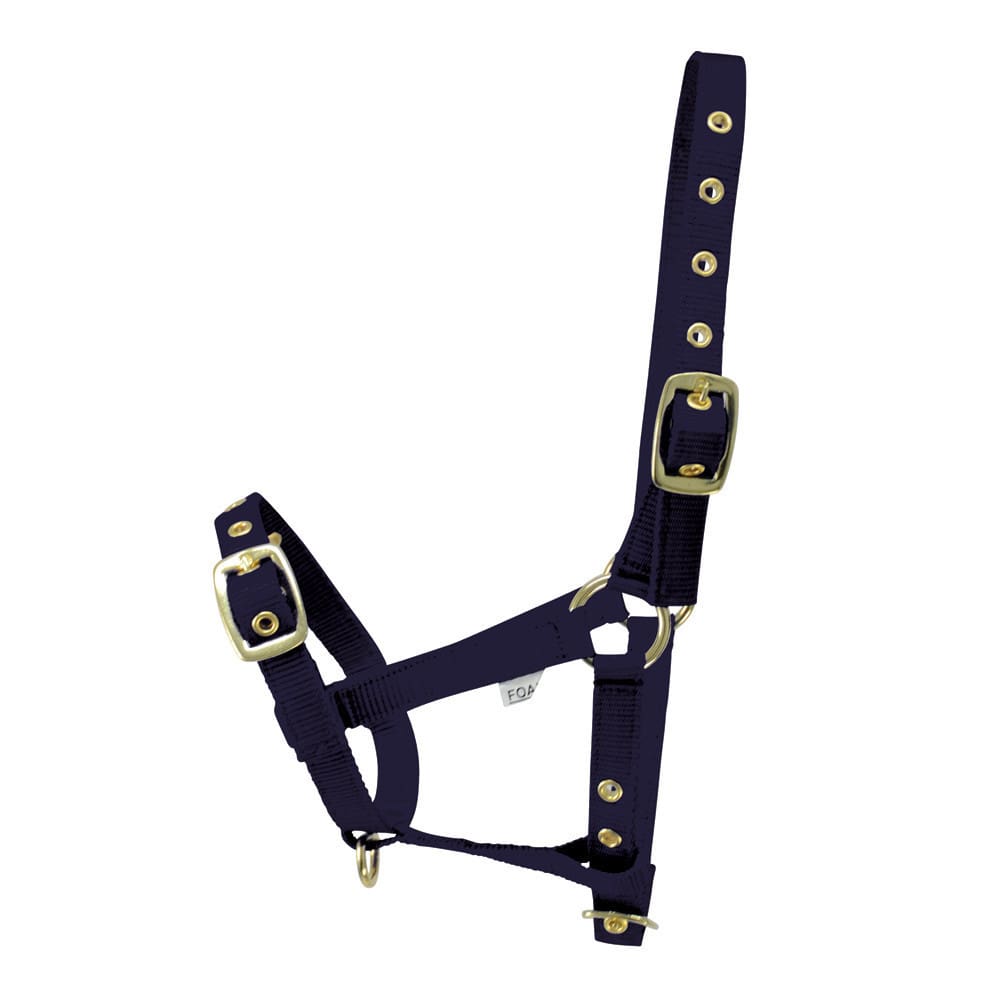 Hy Equestrian Foal Head Collar - Image 3