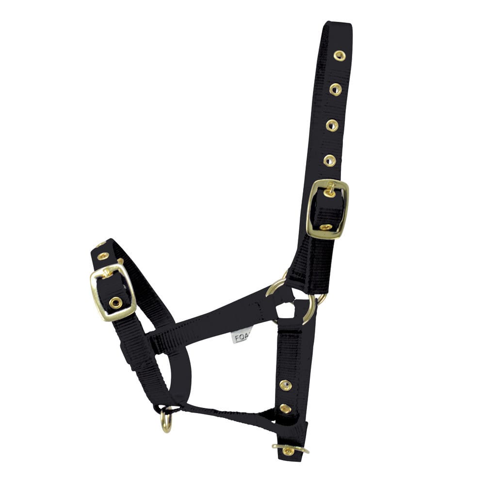 Hy Equestrian Foal Head Collar