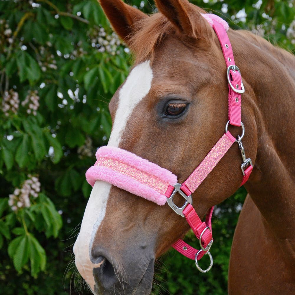 Hy Equestrian Dazzle Head Collar - Image 2