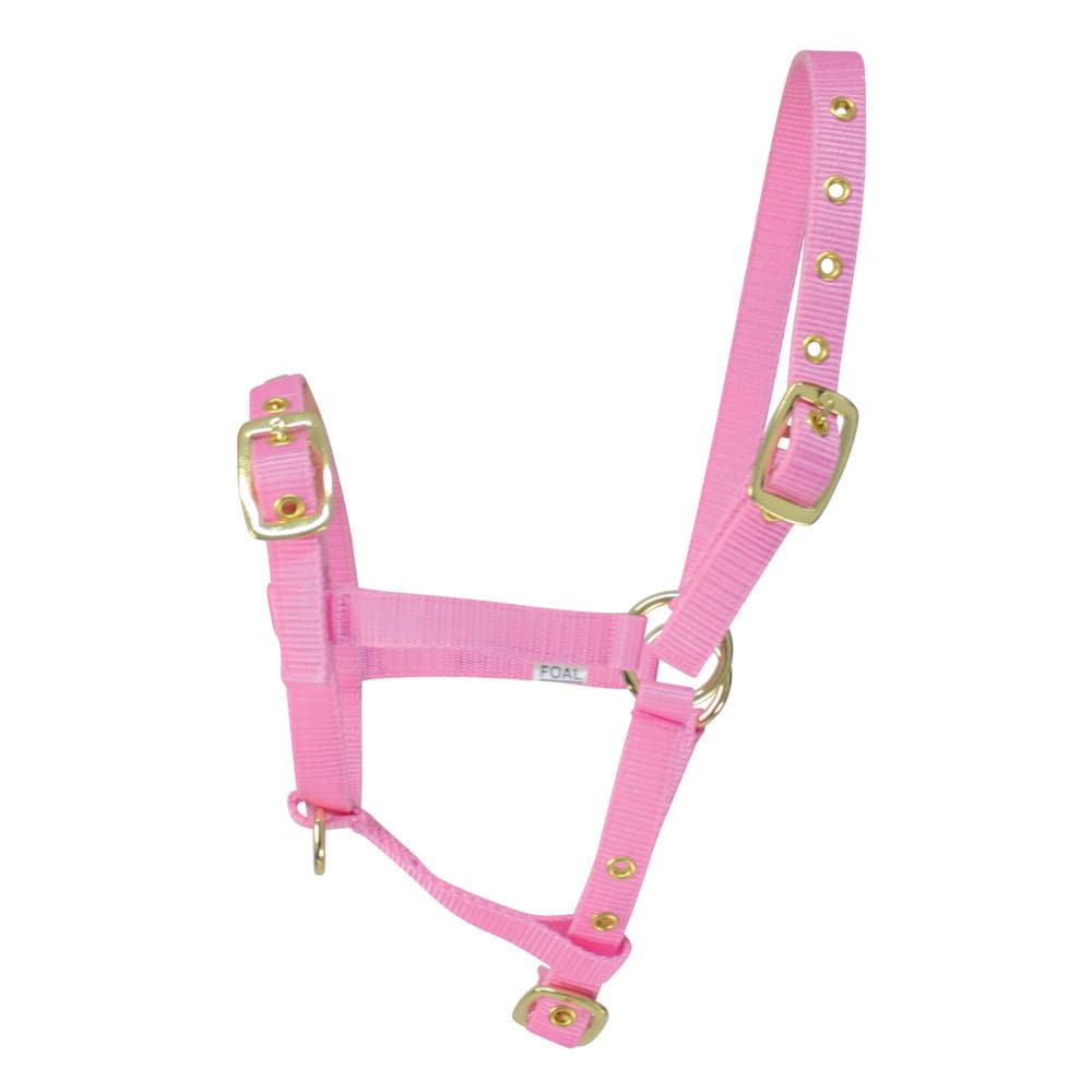 Hy Equestrian Foal Head Collar - Image 2