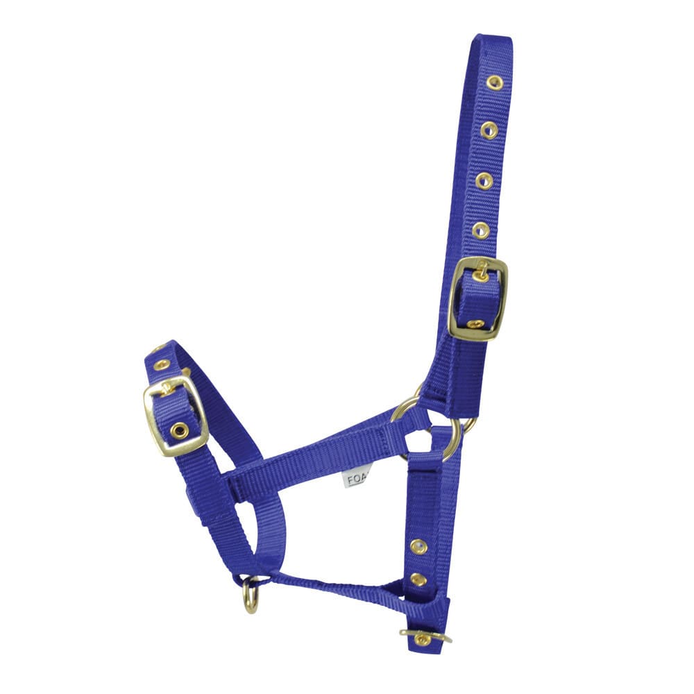 Hy Equestrian Foal Head Collar - Image 4