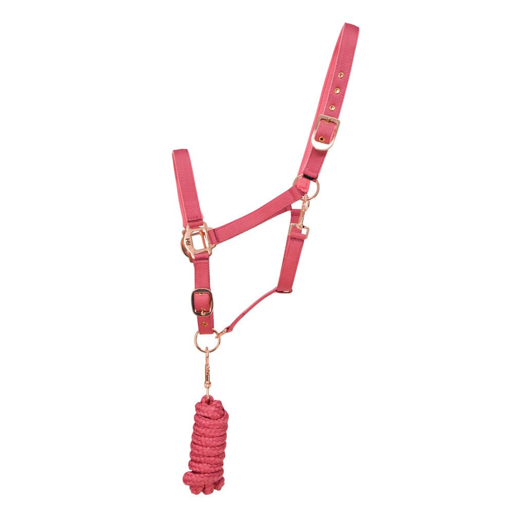 Hy Equestrian Rose Gold Head Collar & Lead Rope - Image 3