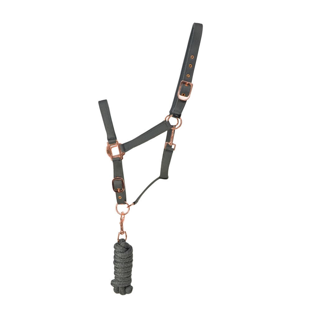 Hy Equestrian Rose Gold Head Collar & Lead Rope