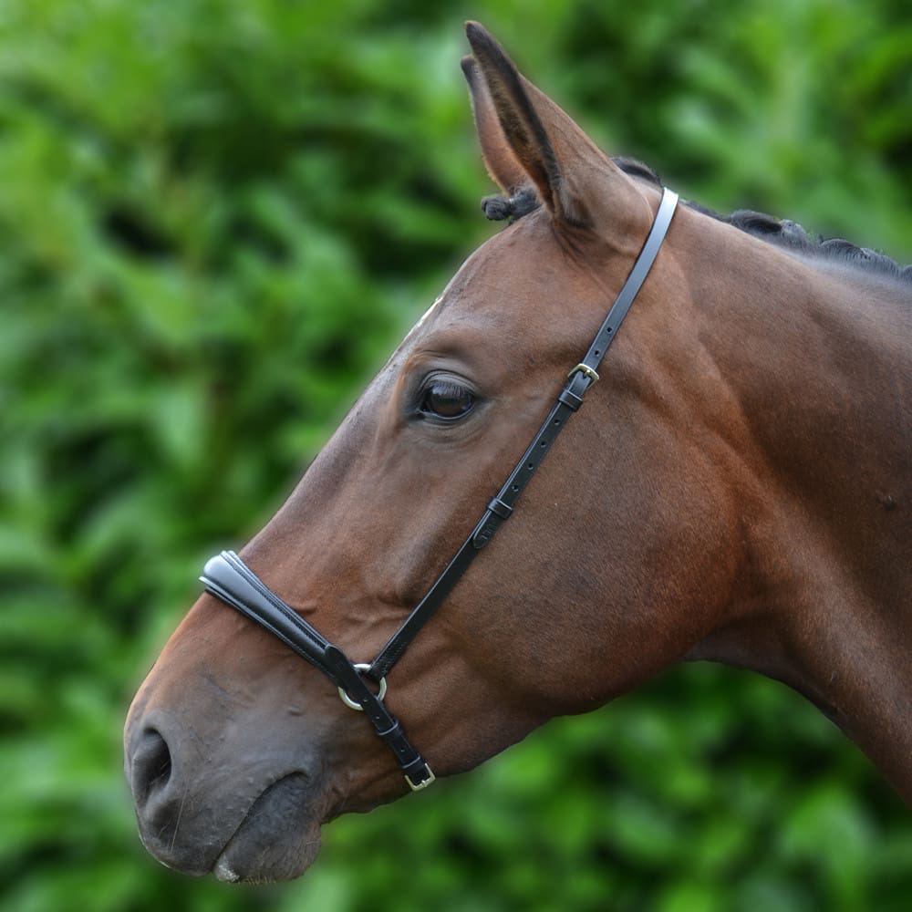 Hy Equestrian Padded Drop Noseband