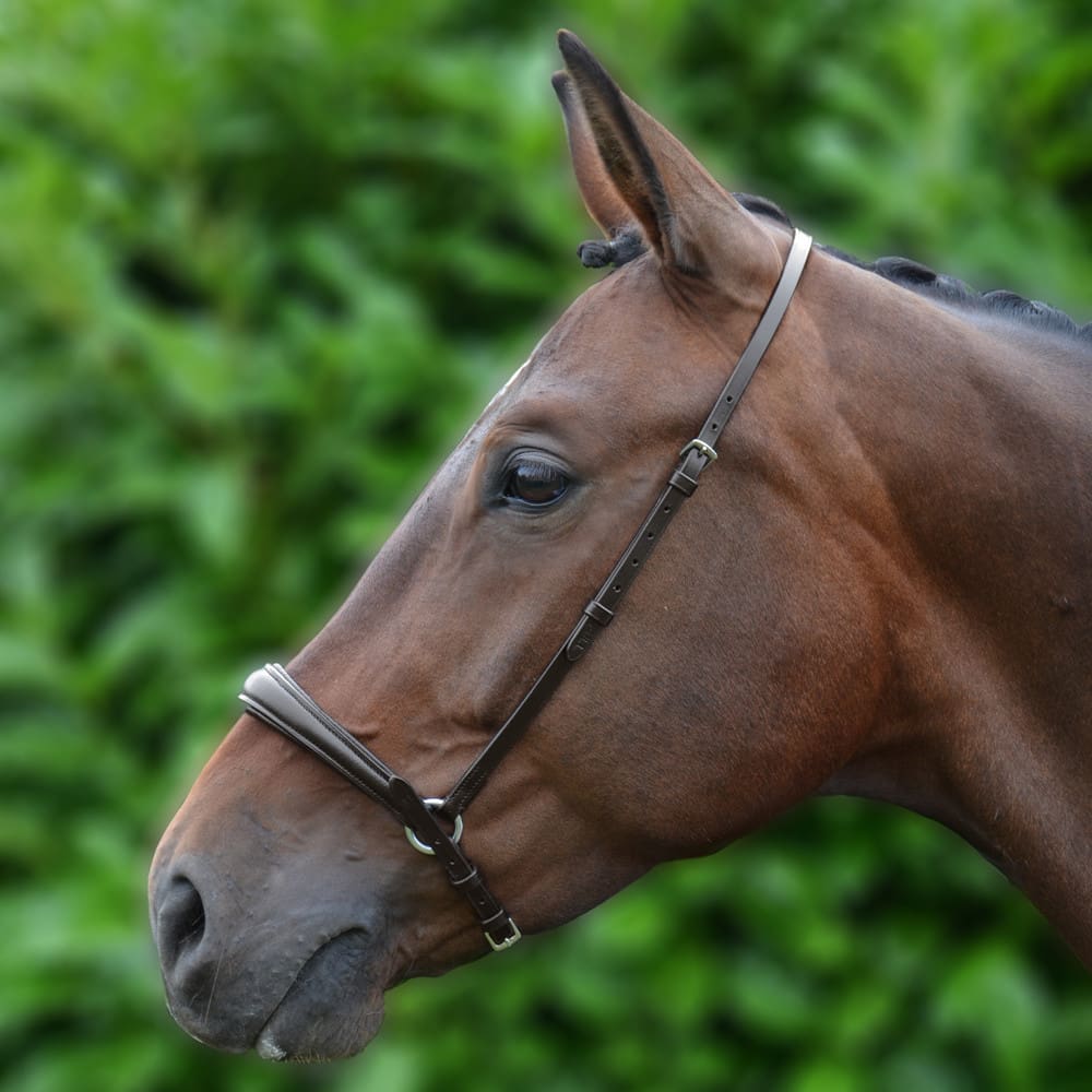 Hy Equestrian Padded Drop Noseband - Image 2