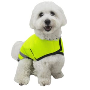 Safety