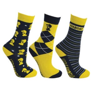 Lancelot Socks by Little Knight (Pack of 3)