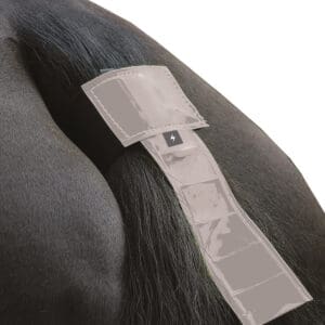 Silva Flash Reflective Tail Band by Hy Equestrian