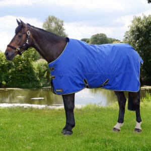 StormX Original 100 Turnout Rug