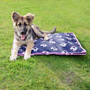 Dog Beds