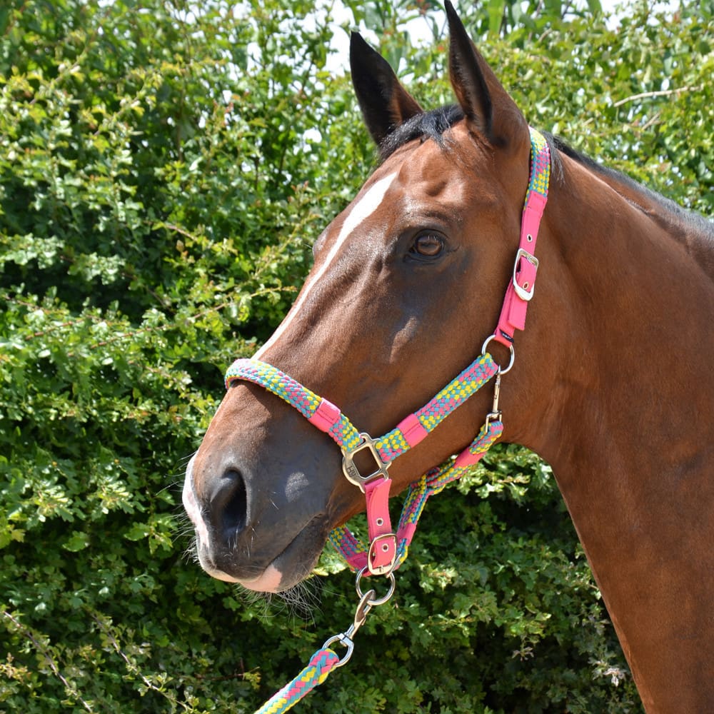 Hy Equestrian Multicolour Adjustable Head Collar & Lead Rope - Image 7