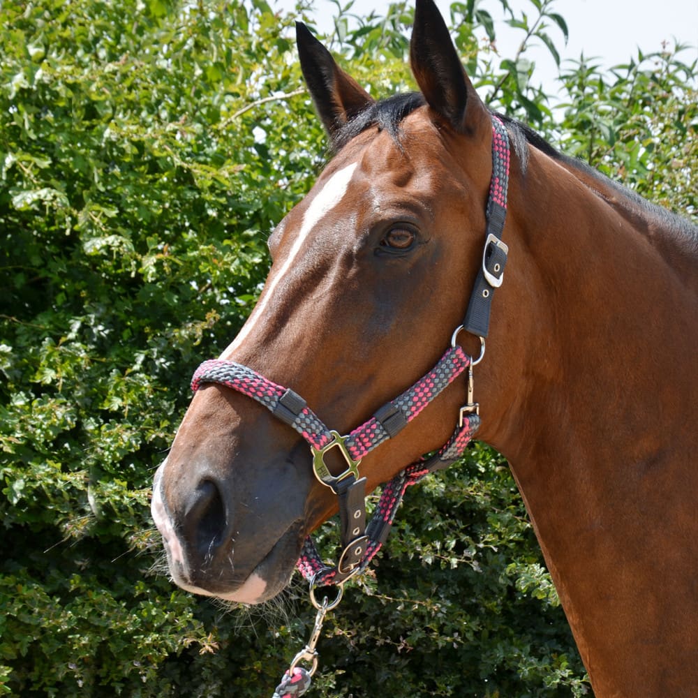 Hy Equestrian Multicolour Adjustable Head Collar & Lead Rope - Image 2
