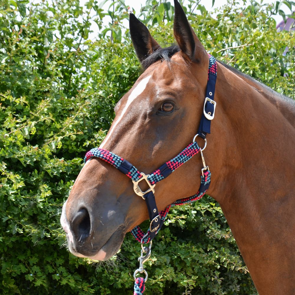 Hy Equestrian Multicolour Adjustable Head Collar & Lead Rope - Image 4