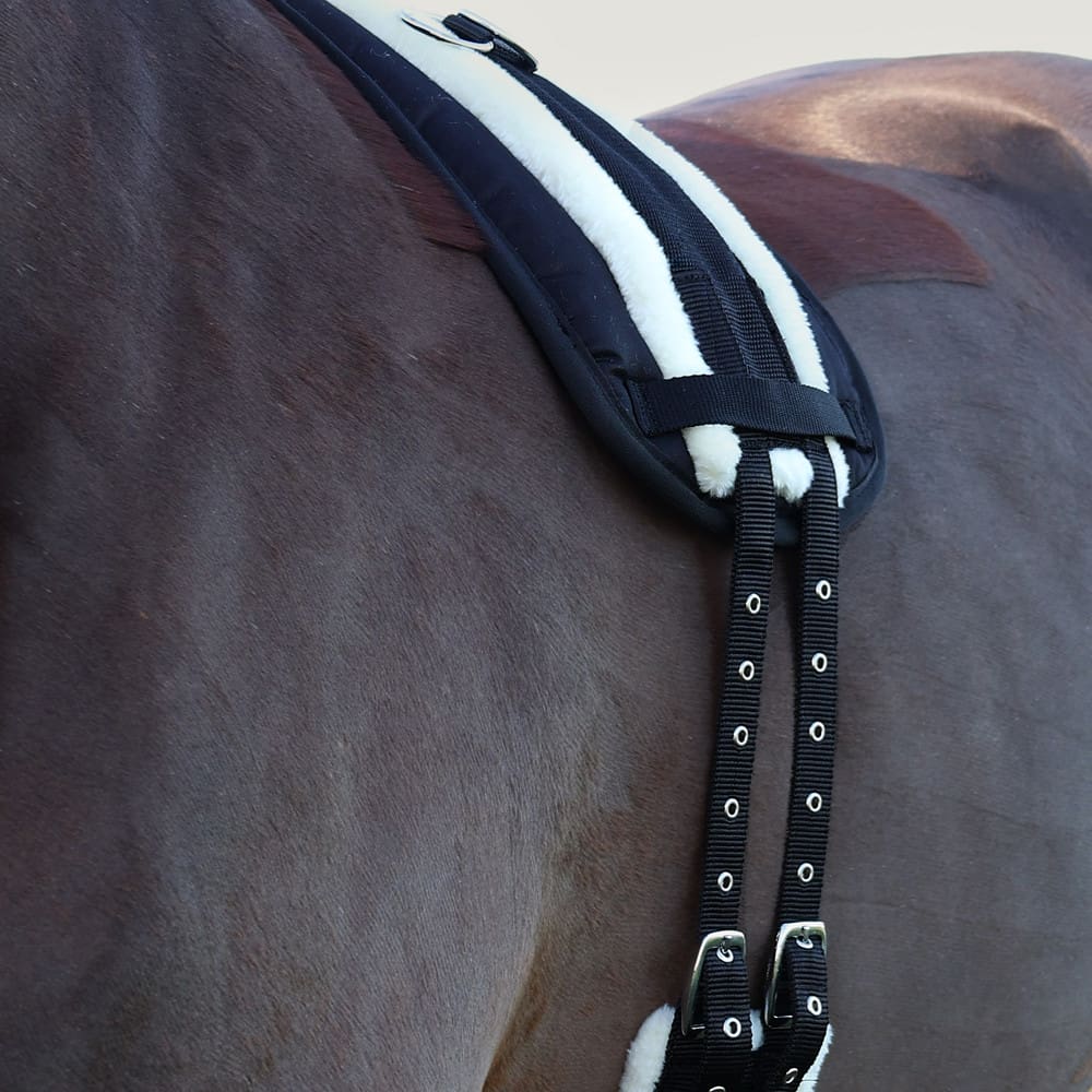 Hy Equestrian Lunge Roller Pad - Image 3
