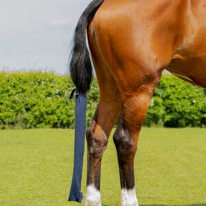 Hy Equestrian Lycra Flex Tail Bag