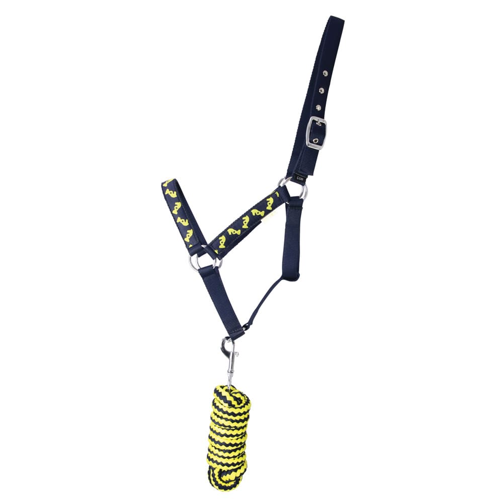 Lancelot Head Collar & Lead Rope by Little Knight