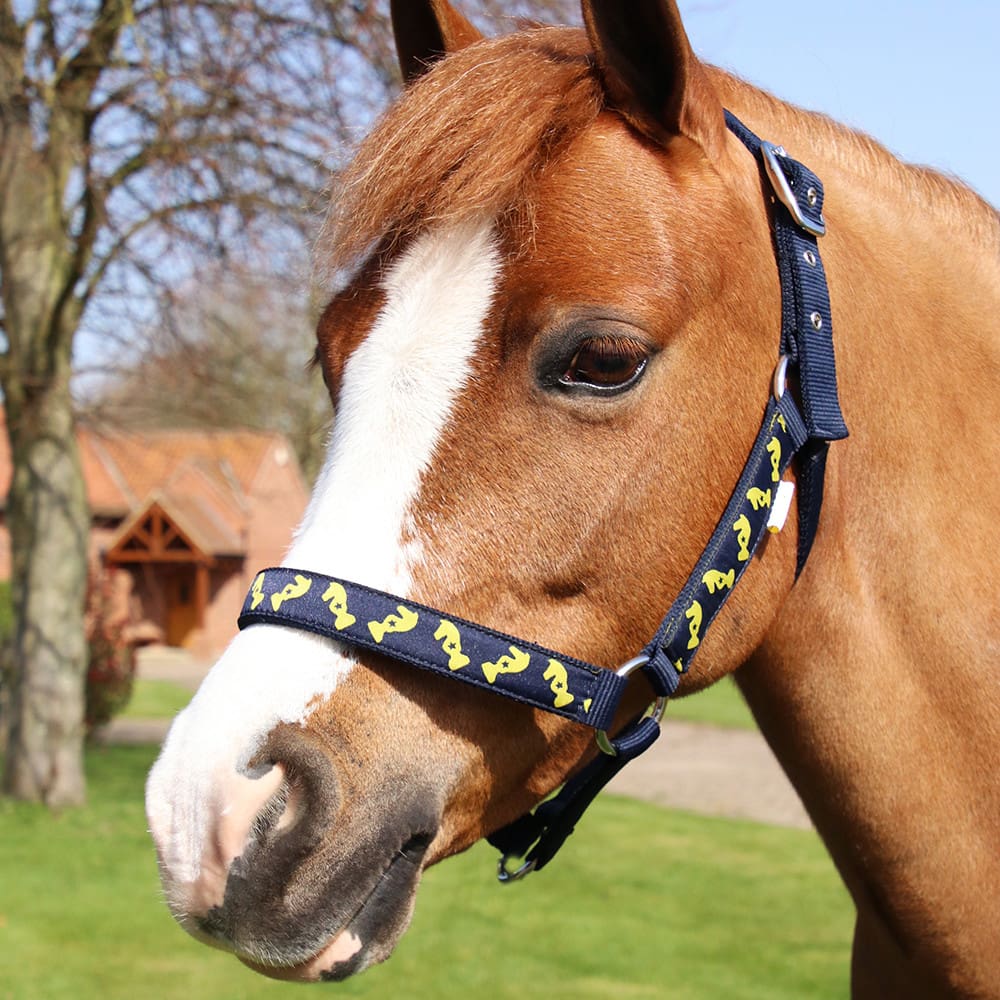 Lancelot Head Collar & Lead Rope by Little Knight - Image 2