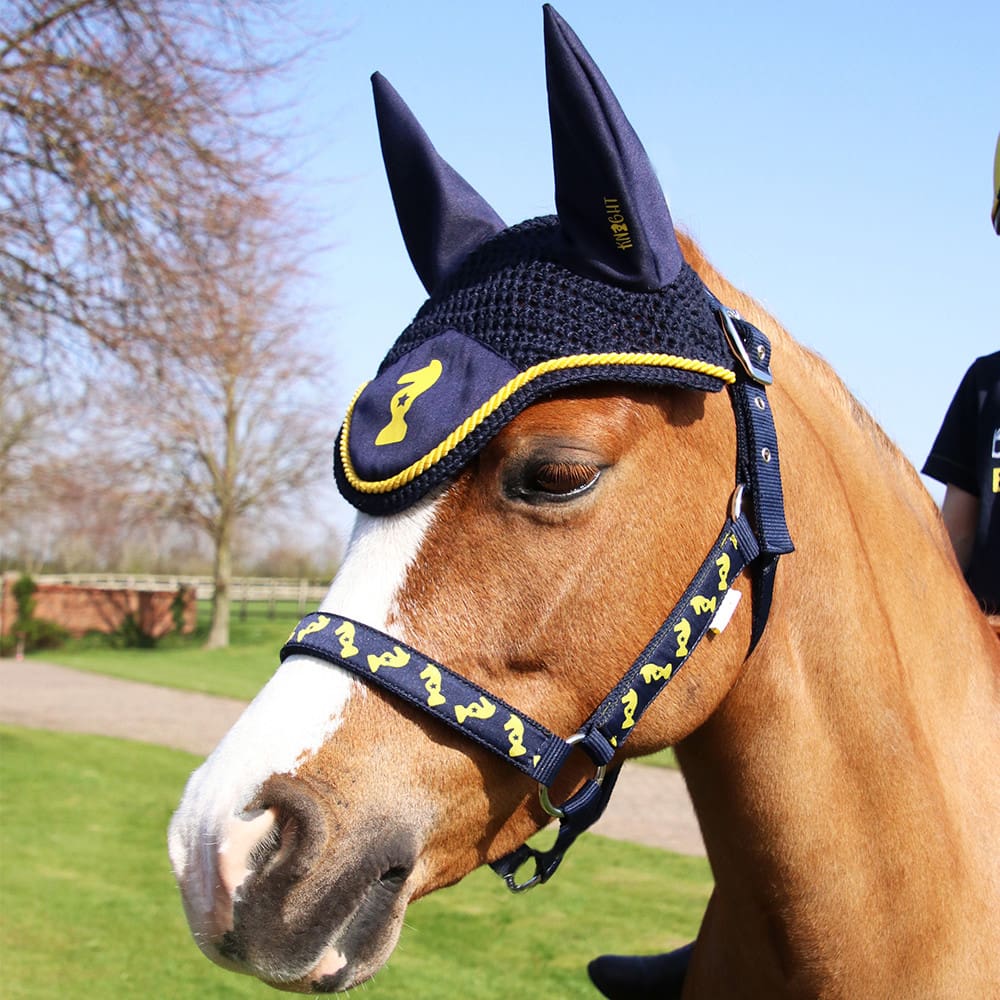 Lancelot Head Collar & Lead Rope by Little Knight - Image 3