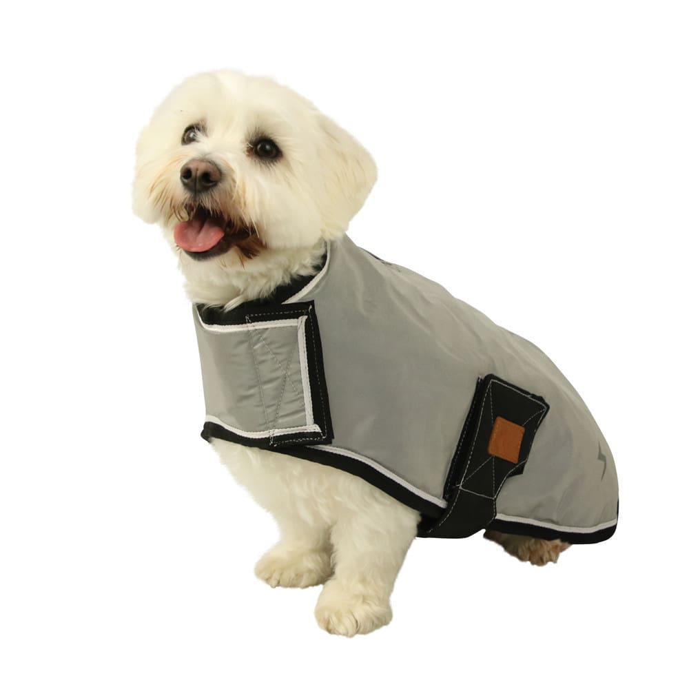 Benji & Flo Silva Flash Dog Coat