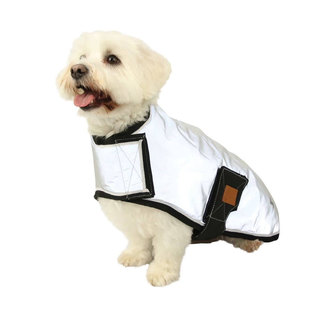 Benji & Flo Silva Flash Dog Coat - Image 2
