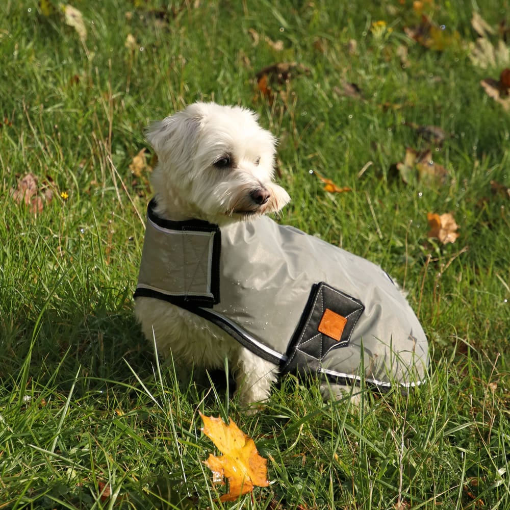Benji & Flo Silva Flash Dog Coat - Image 3