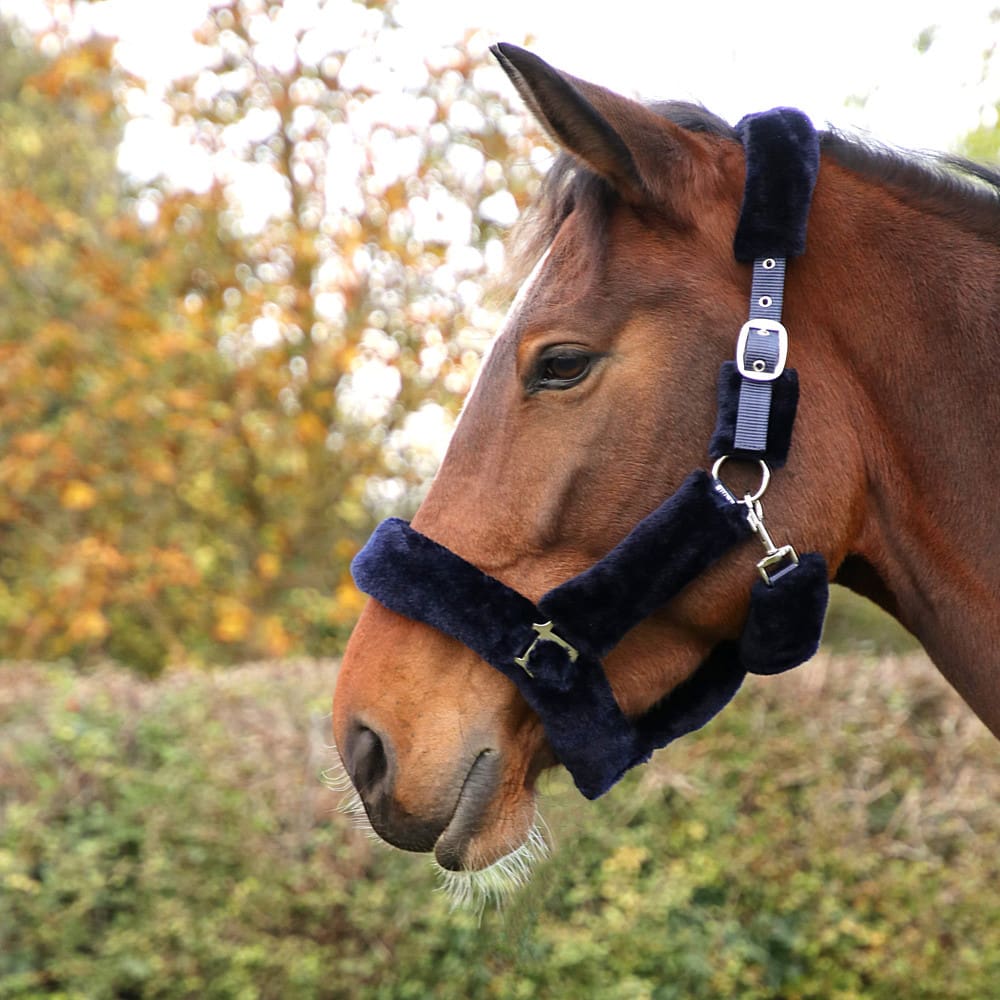 Hy Equestrian Fab Fleece Head Collar - Image 2
