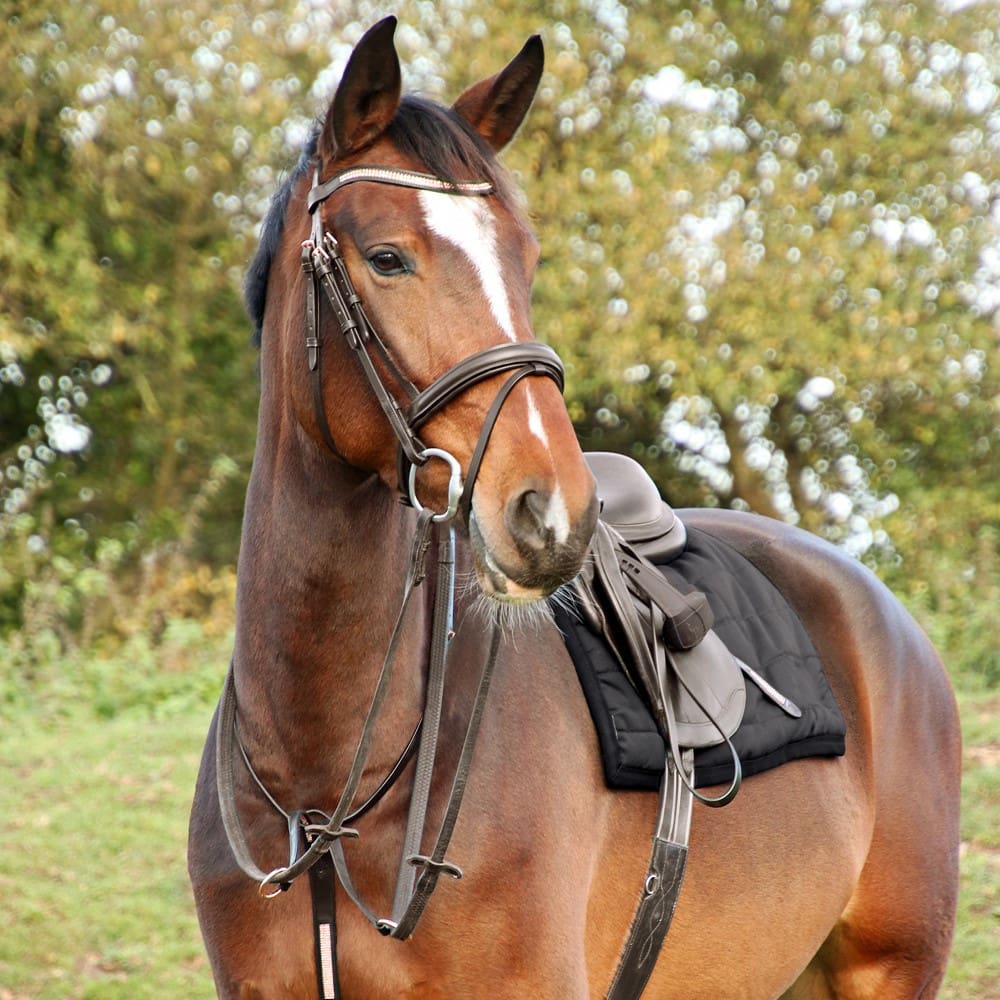 Hy Equestrian Rosciano Rose Gold Martingale - Image 2