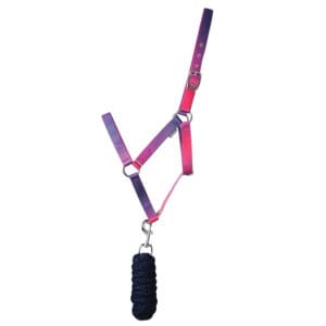 Hy Equestrian Ombre Head Collar and Lead Rope
