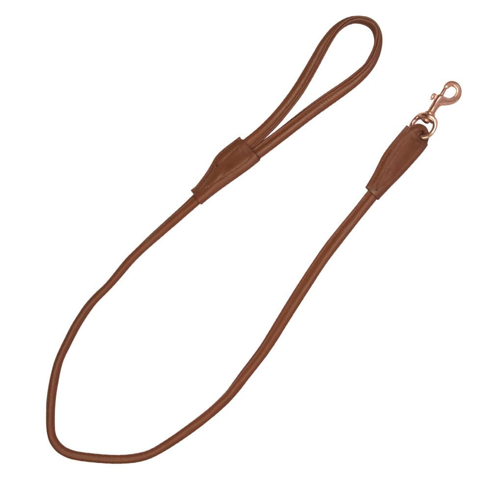 Benji & Flo Superior Rolled Leather Dog Lead - Image 2