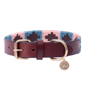 Leads & Collars