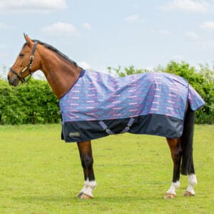 StormX Original Dorris The Dachshund 0 Turnout Rug