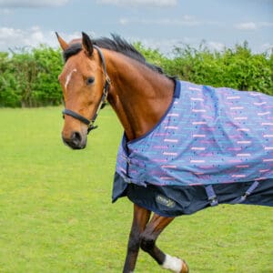 Turnout Rugs