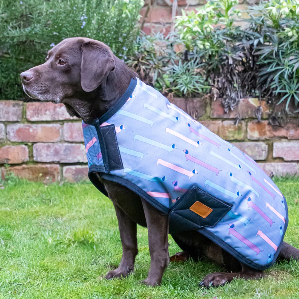 Benji & Flo Dorris The Dachshund Dog Coat - Image 3