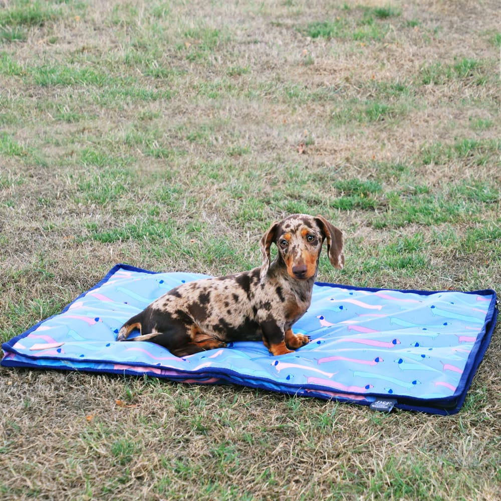Benji & Flo Dorris The Dachshund Dog Bed - Image 3