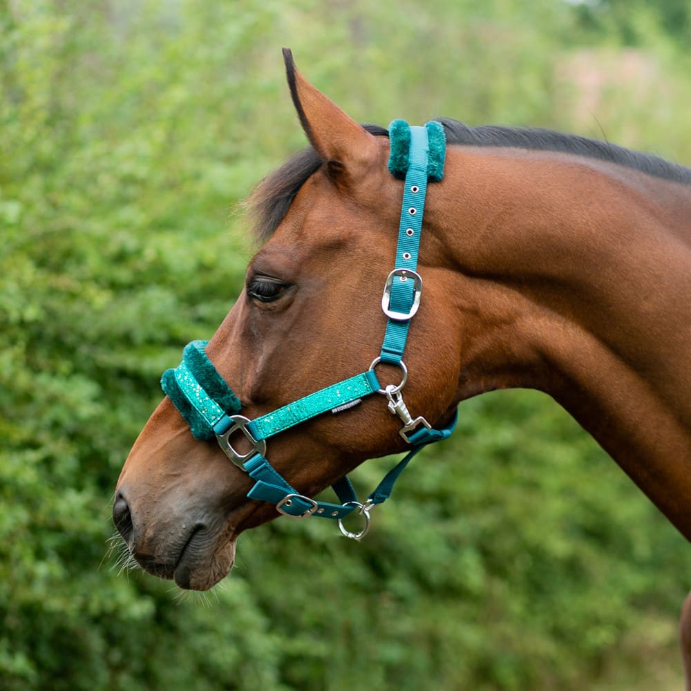 Hy Equestrian Dazzle Head Collar - Image 5