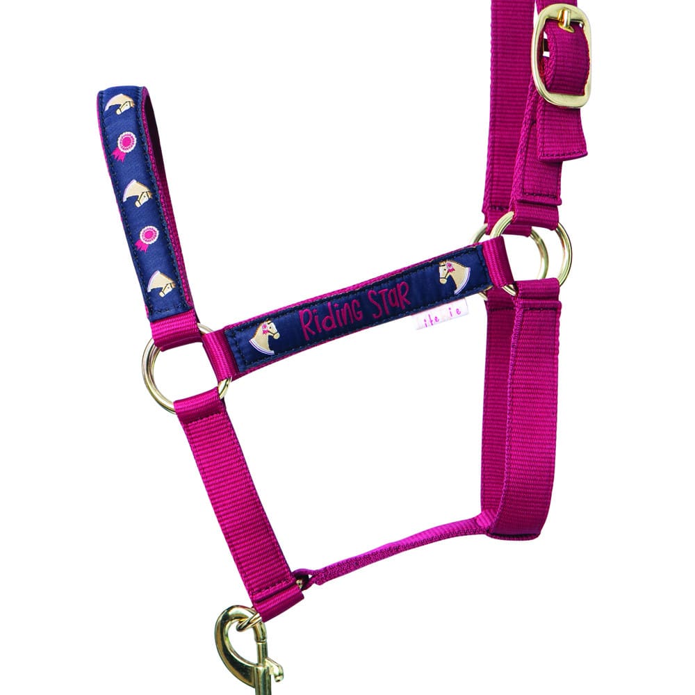 Riding Star Collection Head Collar and Lead Rope by Little Rider - Image 2