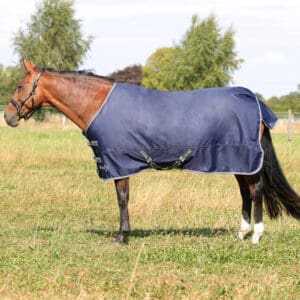StormX Empra 100 Turnout Rug