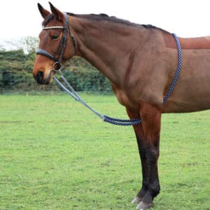 Lunging & Training Aids