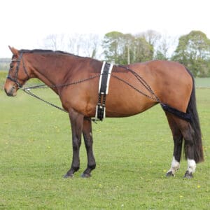 Hy Equestrian Lunging System