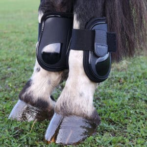 Tendon & Fetlock Boots