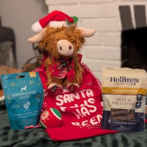 Large Dog Christmas Sack